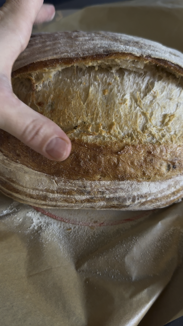 Floured sourdough batard with crisp ear